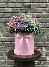 Цветочная композиция из Гипсофила и Розы в шляпной коробке в поселке имени Воровского