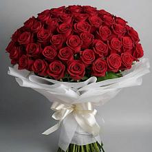Букет 101 Красная роза Блэк Мэджик в поселке имени Воровского