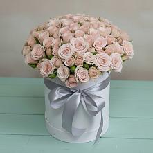 Цветочная композиция из Розы в шляпной коробке в поселке имени Воровского