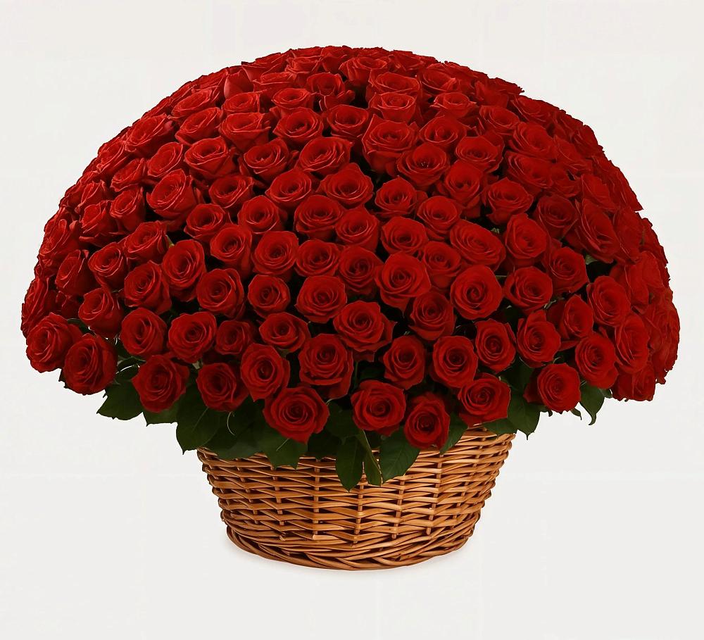 Премиум букет из: Розы в поселке имени Воровского