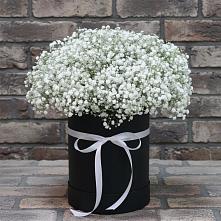 Цветочная композиция из Гипсофила в шляпной коробке в поселке имени Воровского