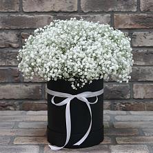 Цветочная композиция из Гипсофила в шляпной коробке в поселке имени Воровского