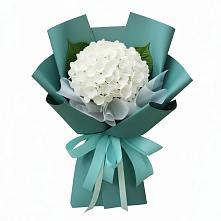 Букет цветов из:  Гортензия #REPLACE_PRED# поселке имени Воровского
